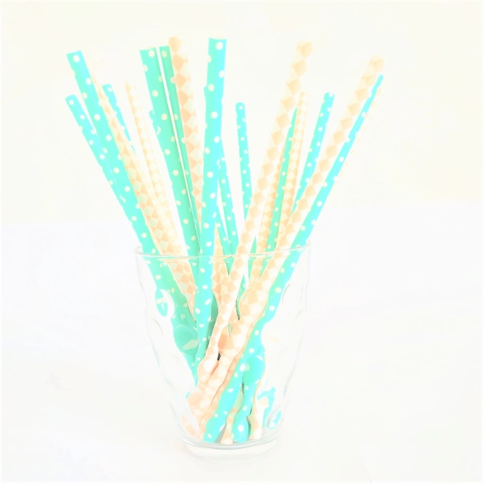 Eco-friendly paper straws - 100 pieces (100% biodegradable)