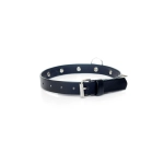 Erotic leather collar with studs