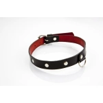 Exclusive erotic leather collar