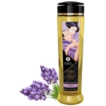 Exclusive Shunga massage oil - lavender