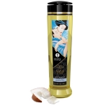 Exclusive Shunga massage oil - coconut