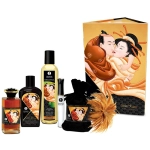 Luxurious Shunga Erotic Set (6 Pieces)