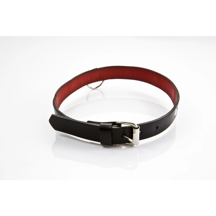 Exclusive erotic leather collar