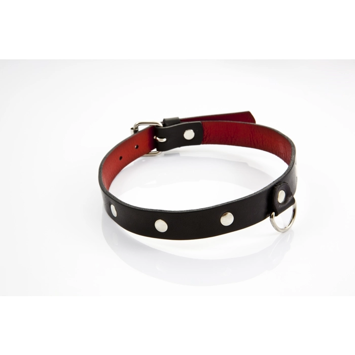 Exclusive erotic leather collar