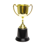 Cup - the winner's trophy