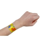 A clasp for children - dinosaurs