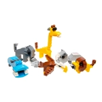 Egg blocks - build your own wild animal