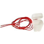 Tooth container