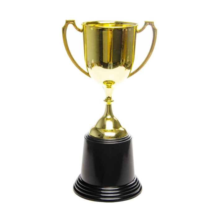 Cup - the winner's trophy