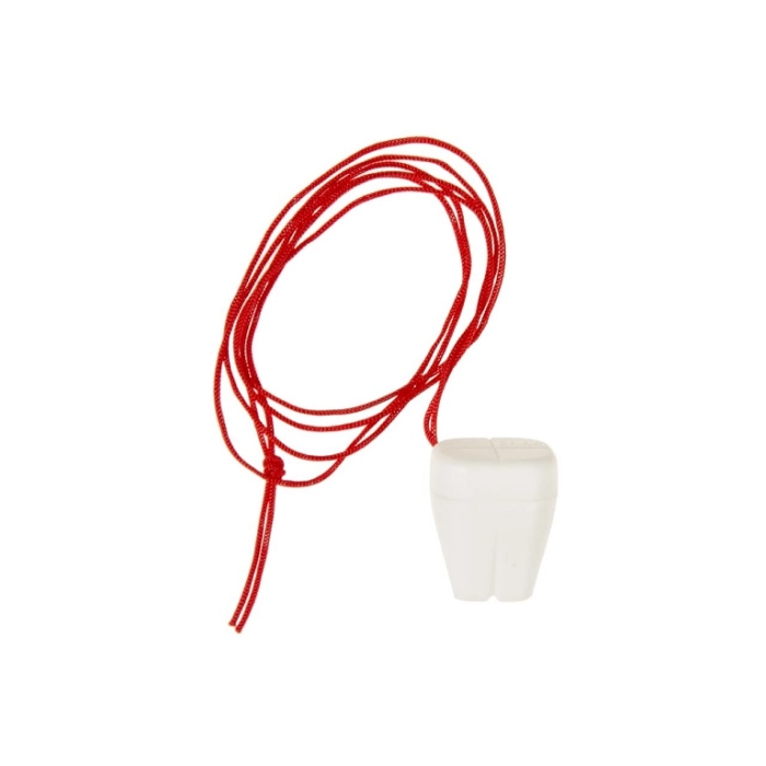 Tooth container