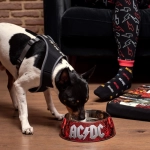 A set of two ACDC pet bowls - S