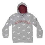 Harry Potter Hogwarts sweatshirt - 8-14 years - licensed product