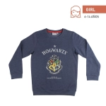 Mikina Harry Potter Hogwarts - 6-14 rokov - licencovaný produkt