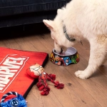 A set of two bowls for a Marvel pet - L