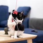 Minnie Mouse cat wand - licensed product