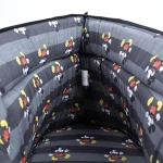 Disney Mickey Mouse pet carrier - licensed product