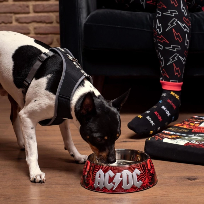 A set of two ACDC pet bowls - S