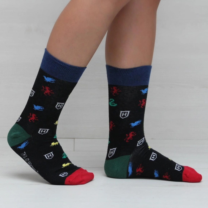Harry Potter socks size 35-41 and 40-46