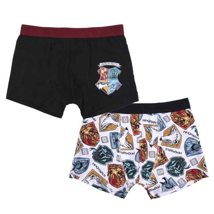 Harry Potter boxerek - 2 db-os licencelt termék