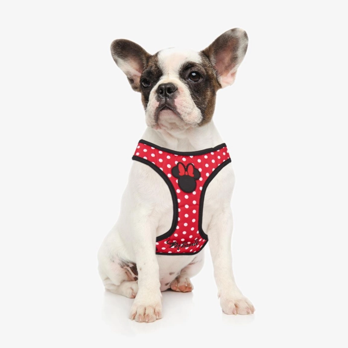 Disney Minnie Mouse Dog Harness - XXS/XS