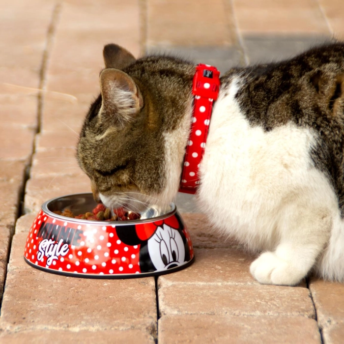 A set of two bowls for a Minnie Mouse pet - S