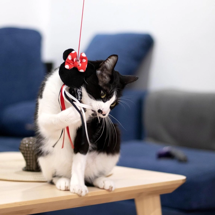 Minnie Mouse cat wand - licensed product