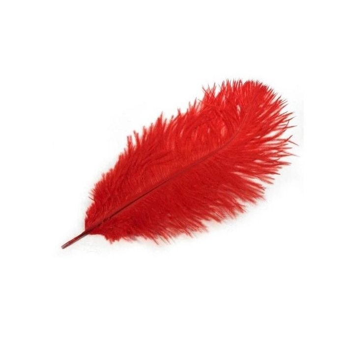 Weiche erotische Feder - rot