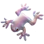 A frog filled with sand XL