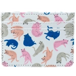 Anti-theft case for RFID proximity cards - Cat's Life
