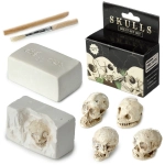 Human Skull - Dig It Yourself!