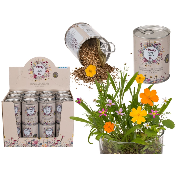 Flowers in a box - your own flower meadow