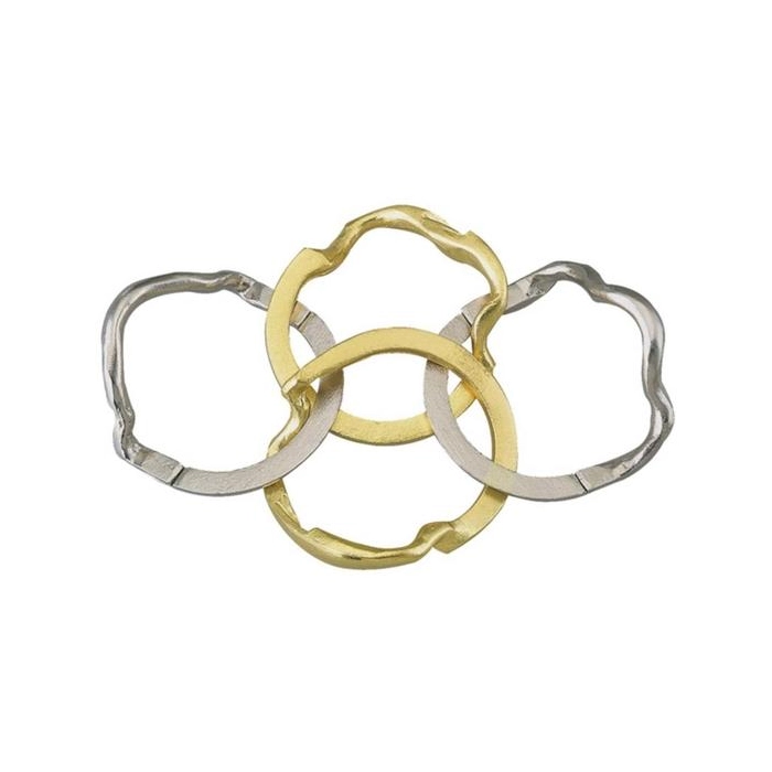 Hanayama Huzzle Cast Ring- Rätsel Stufe 4/6
