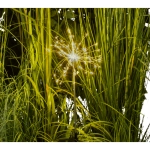 Solar Gartenlampe Gebläse 120LED