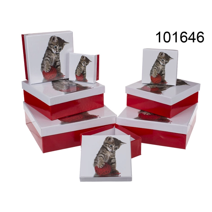 Set of Boxes