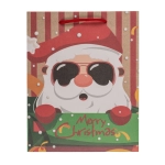 Різдвяний подарунковий пакет - радісний сезон