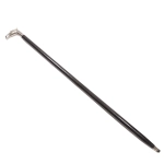 Elegant Classic Cane with Brass Handle in the Shape of an Eagle's Head