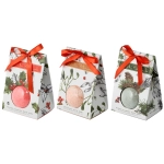 Christmas Bath Balls - Winter Garden in a Gift Box