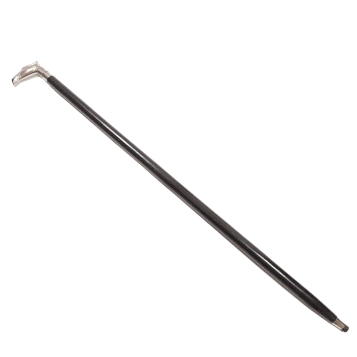 Elegant Classic Cane with Brass Handle in the Shape of an Eagle's Head