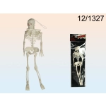 Horror and Halloween, Skulls